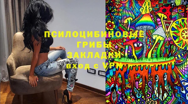 PSILOCYBIN Краснослободск