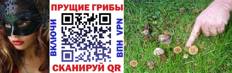 продажа наркотиков omg ONION площадка Telegram Липецк Псилоцибиновые грибы прущие грибы