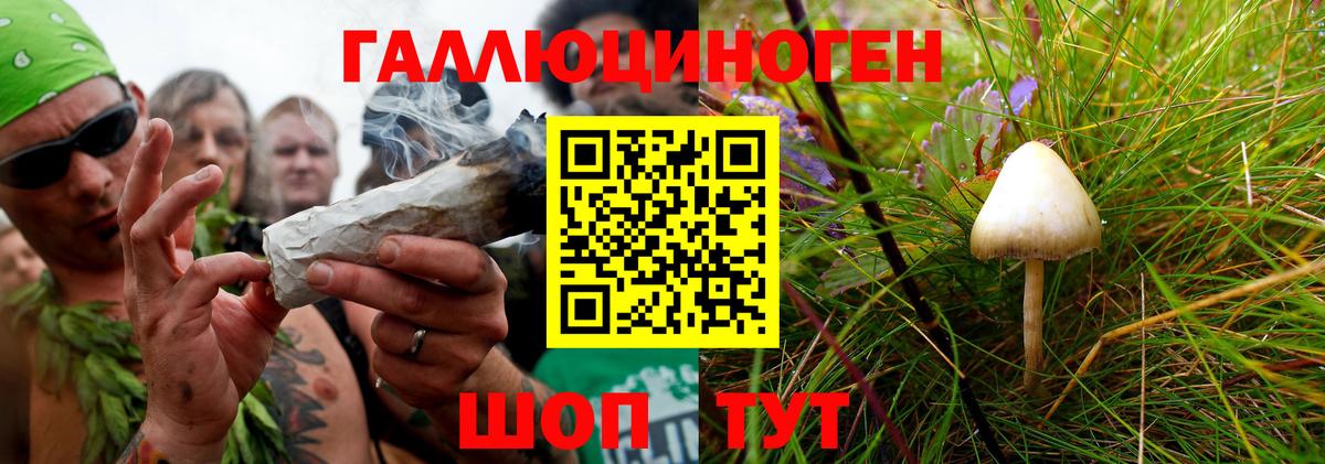 Псилоцибиновые грибы прущие грибы  Липецк 